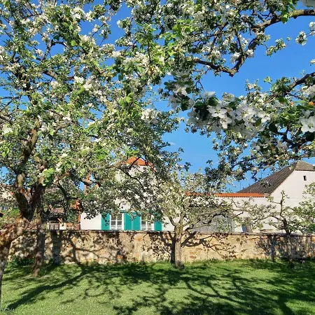 Na Morave By Interhome Kojetice